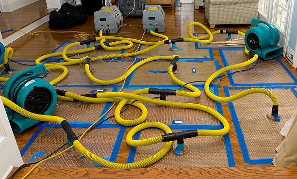 Professional Flood Damage Restoration technician working in Borden, IN